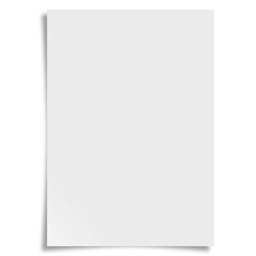 A4 Egg Shell Sticker